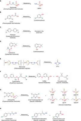 Determination of pesticide residues in urine by chromatography-mass spectrometry: methods and applications